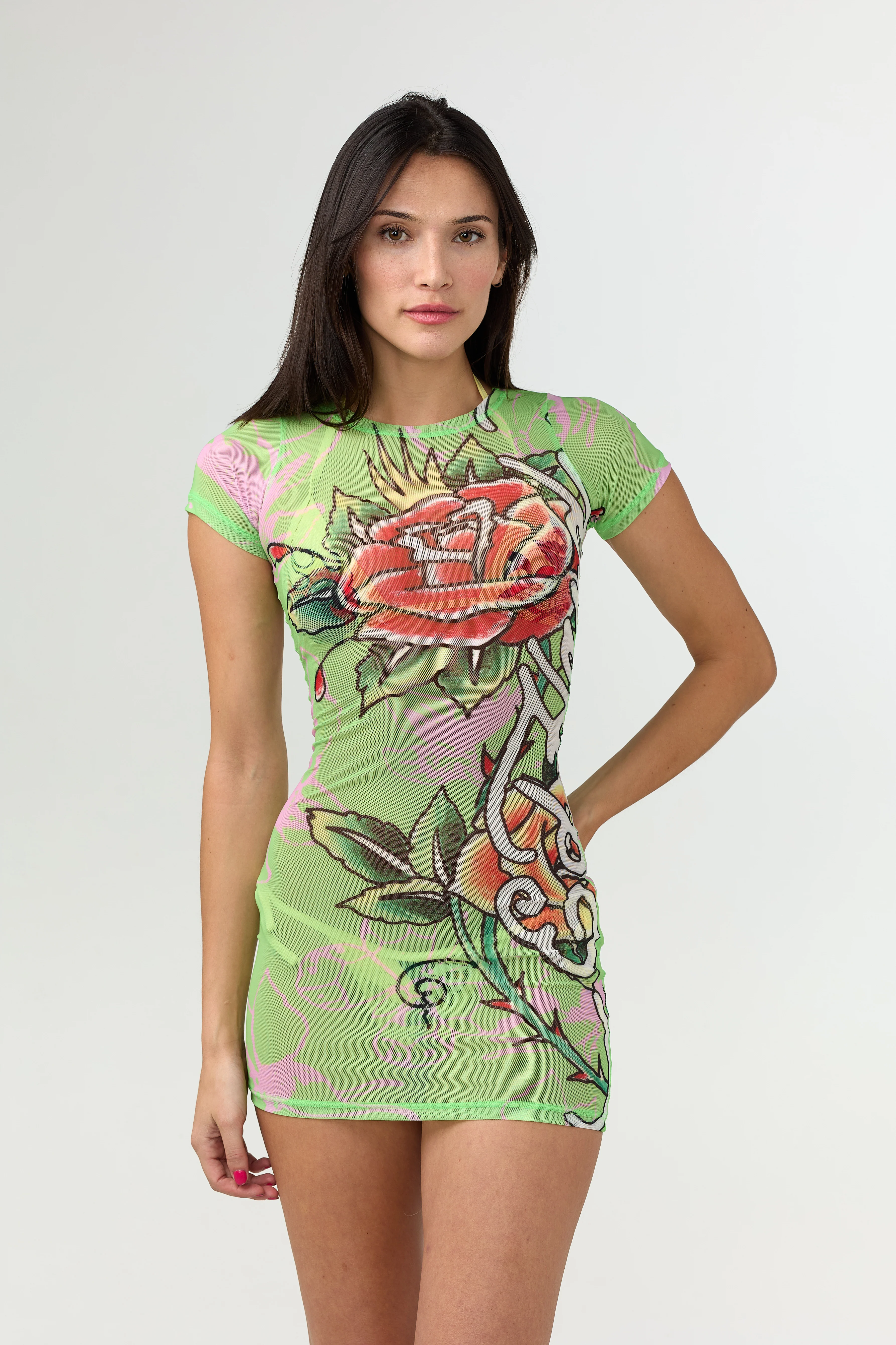 BUTTERFLY GARDEN - MESH DRESS - GREEN